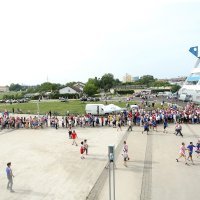 Navijači  pristižu na utakmicu Hrvatska - Senegal