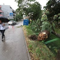 Nevrijeme je čupalo stabla i trgalo grane kod Klinike za psihijatriju Vrapče