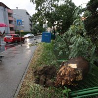 Nevrijeme je čupalo stabla i trgalo grane kod Klinike za psihijatriju Vrapče