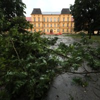 Nevrijeme je čupalo stabla i trgalo grane kod Klinike za psihijatriju Vrapče