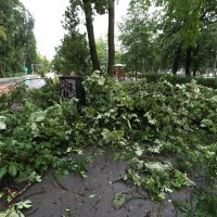 Nevrijeme je čupalo stabla i trgalo grane kod Klinike za psihijatriju Vrapče