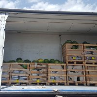 Marihuana zaplijenjena na GP Vinjani Donji