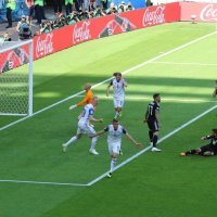 Finnbogason zabija pogodak