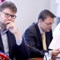 Odbor za ustav o zahtjevima za raspisivanje referenduma o izmjenama izbornog sustava