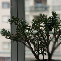 Sony Xperia XZ2 - primjeri fotografija