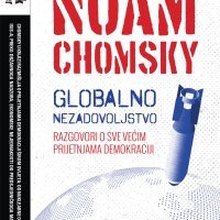 Noam Chomsky, Globalno nezadovoljstvo