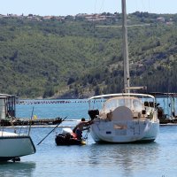 Onečišćenje mora u Raškom Zaljevu