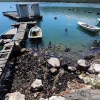 Onečišćenje mora u Raškom Zaljevu