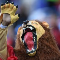 SP 2018., skupina B: Španjolska - Maroko (navijači)