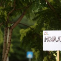 Prosvjednici ispred Ministarstva znanosti