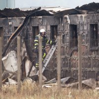 Požar na farmi svinja