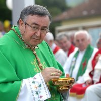 Kardinal Vinko Puljić