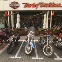 Harley Davidson u Kini