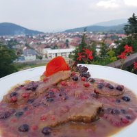 Delnice i Lovački dom