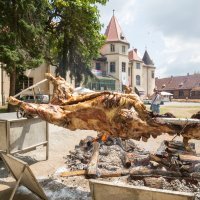 Donji Miholjac uoči dočeka Domagoja Vide