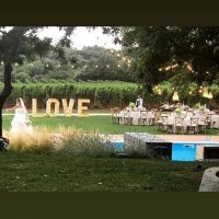 Vedran Ćorluka i Franka Batelić