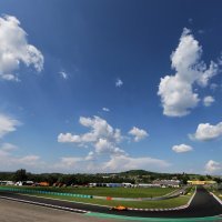 Fernando Alonso (McLaren)