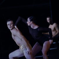 'Allegro' Maše Kolar