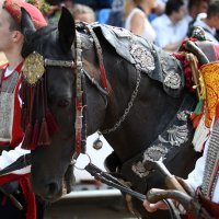 Svečana povorka 303. Sinjske alke