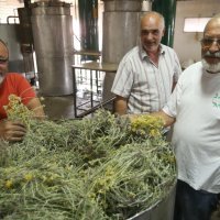 Ivan Munitić, Domagoj Bekavac i Jozo Baričić