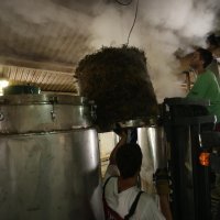 Pogon za preradu ljekovitog bilja