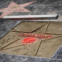 Zvijezda Donalda Trumpa nakon što je uništena u srpnju 2018.