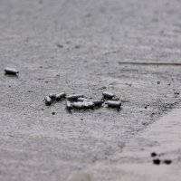 Pucnjava u Manchesteru