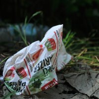 Mjesto gdje su u zaseoku Tomići stradali migranti