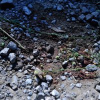 Mjesto gdje su u zaseoku Tomići stradali migranti