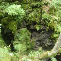 Jama Hippie Garden - ulaz