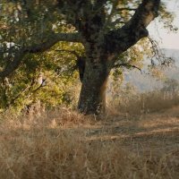 Keanu Reeves i Winona Ryder u filmu Destination Wedding