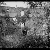 Mario Matoković, Nepodnošljiva lakoća inercije