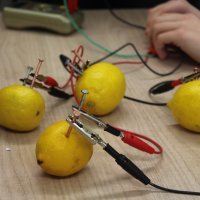 Praktikum prirodoslovlja za darovite učenike u Osnovnoj školi Bartula Kašića u Zadru