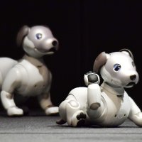 Sony Aibo