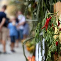 U Vrbovcu svečano otvorena manifestacija "Kaj su jeli naši stari"