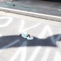 Nekoliko prosvjednika pred zgradom Sabora ostavilo pelenu s izmetom te su ga gađali jajima