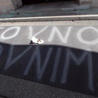 Nekoliko prosvjednika pred zgradom Sabora ostavilo pelenu s izmetom te su ga gađali jajima