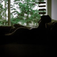 Jelena Blagović, Nove samoće