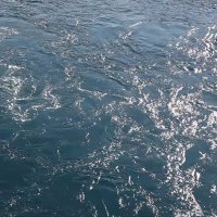 Silvia Grossmann, Tramontana