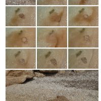 Alfred Graf, Übersicht rechte Seite