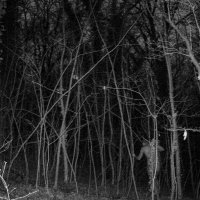 Prolaz za divlje životinje