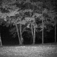 Prolaz za divlje životinje