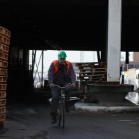 Petrokemija Kutina