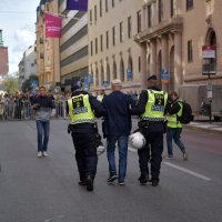 Neonacisti u Švedskoj