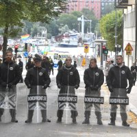 Neonacisti u Švedskoj