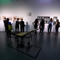 U MSU otvoren 10. Organ vida festival