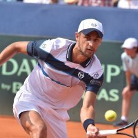 Hrvatska - SAD, Mate Pavić