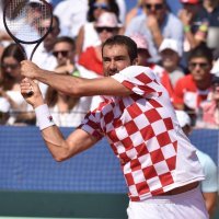 Marin Čilić protiv Querreyja