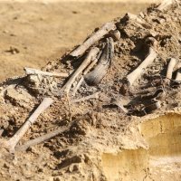 Ministarstvo hrvatskih branitelja predstavilo aktivnosti Uprave za zatočene i nestale