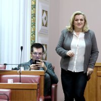 Nezavisni zastupnici